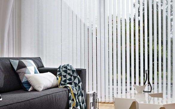 Vision Blinds